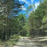 Lasy Jeziora, Cisza I Spokoj, Grzybki I Rybki, Dom 180m2 W Nad Jeziorem Karsinskim * Swornegacie