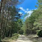 Βίλα Lasy Jeziora, Cisza I Spokoj, Grzybki I Rybki, Dom 180m2 W Nad Jeziorem Karsinskim