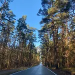 Lasy Jeziora, Cisza I Spokoj, Grzybki I Rybki, Dom 180m2 W Nad Jeziorem Karsinskim * Swornegacie