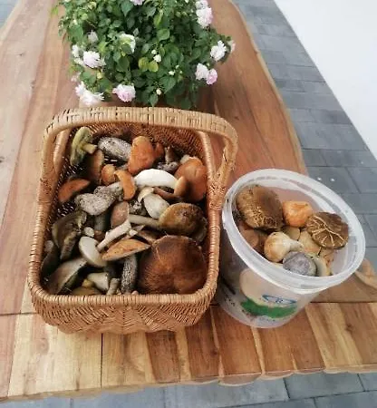 Lasy Jeziora, Cisza I Spokoj, Grzybki I Rybki, Dom 180m2 W Nad Jeziorem Karsinskim