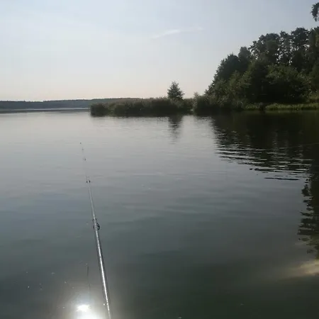 Villa Lasy Jeziora, Cisza I Spokoj, Grzybki I Rybki, Dom 180m2 W Nad Jeziorem Karsinskim Swornegacie