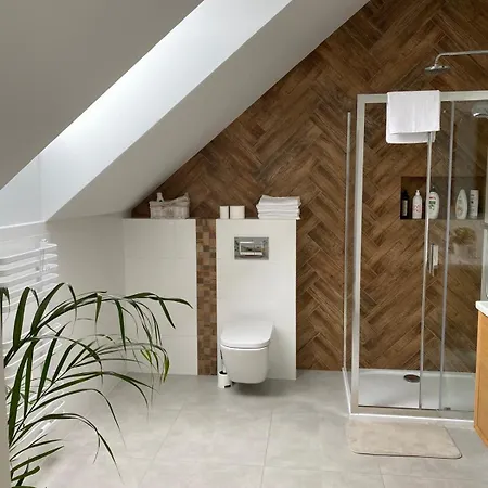 Lasy Jeziora, Cisza I Spokoj, Grzybki I Rybki, Dom 180m2 W Nad Jeziorem Karsinskim * スヲーネガシエ