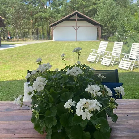 ヴィラ Lasy Jeziora, Cisza I Spokoj, Grzybki I Rybki, Dom 180m2 W Nad Jeziorem Karsinskim スヲーネガシエ