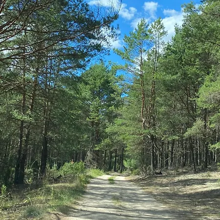 Lasy Jeziora, Cisza I Spokoj, Grzybki I Rybki, Dom 180m2 W Nad Jeziorem Karsinskim * スヲーネガシエ