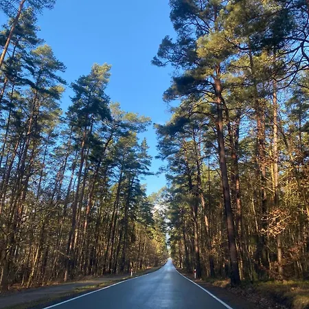 Lasy Jeziora, Cisza I Spokoj, Grzybki I Rybki, Dom 180m2 W Nad Jeziorem Karsinskim * スヲーネガシエ