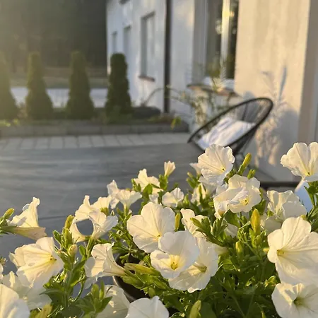 Villa Lasy Jeziora, Cisza I Spokoj, Grzybki I Rybki, Dom 180m2 W Nad Jeziorem Karsinskim
