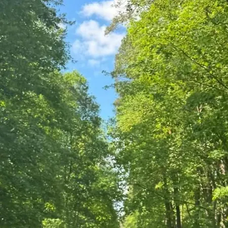 Lasy Jeziora, Cisza I Spokoj, Grzybki I Rybki, Dom 180m2 W Nad Jeziorem Karsinskim Villa *