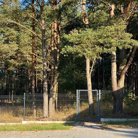 Villa Lasy Jeziora, Cisza I Spokoj, Grzybki I Rybki, Dom 180m2 W Nad Jeziorem Karsinskim