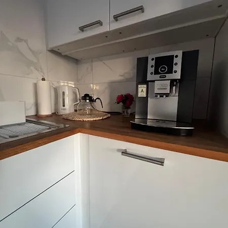 Villa Lasy Jeziora, Cisza I Spokoj, Grzybki I Rybki, Dom 180m2 W Nad Jeziorem Karsinskim Swornegacie