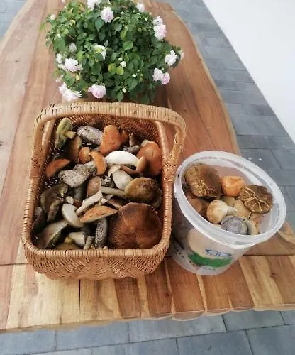 Lasy Jeziora, Cisza I Spokój, Grzybki I Rybki, Dom 180m2 W Nad Jeziorem Karsińskim