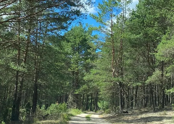 Lasy Jeziora, Cisza I Spokój, Grzybki I Rybki, Dom 180m2 W Nad Jeziorem Karsińskim * Swornegacie