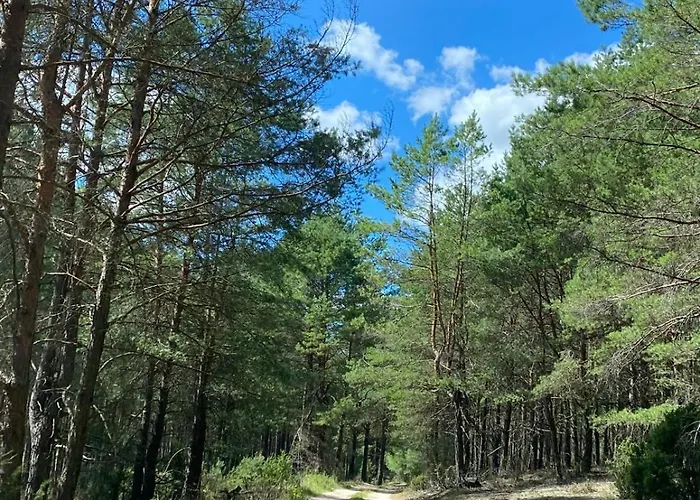 Willa Lasy Jeziora, Cisza I Spokój, Grzybki I Rybki, Dom 180m2 W Nad Jeziorem Karsińskim