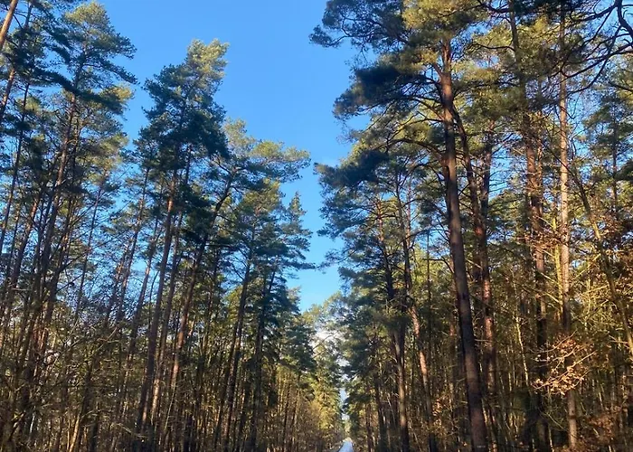 Lasy Jeziora, Cisza I Spokój, Grzybki I Rybki, Dom 180m2 W Nad Jeziorem Karsińskim * Swornegacie